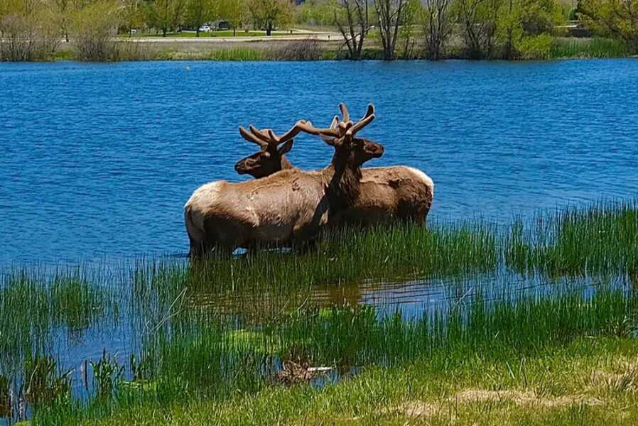 Bob Canaday Photographer taken in Bear Valley California
